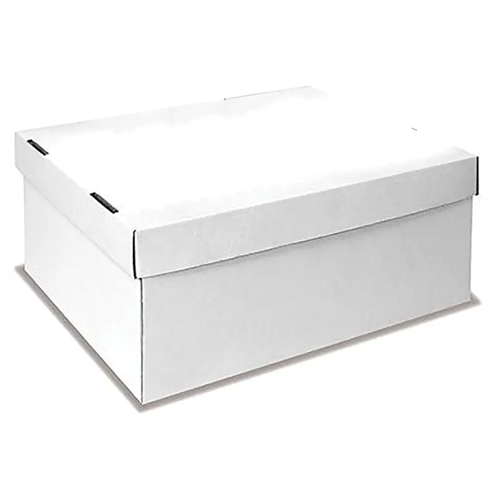 Scatola in Cartone Bianco da Assemblare cm 31x23x14 - Carta e cartoncino