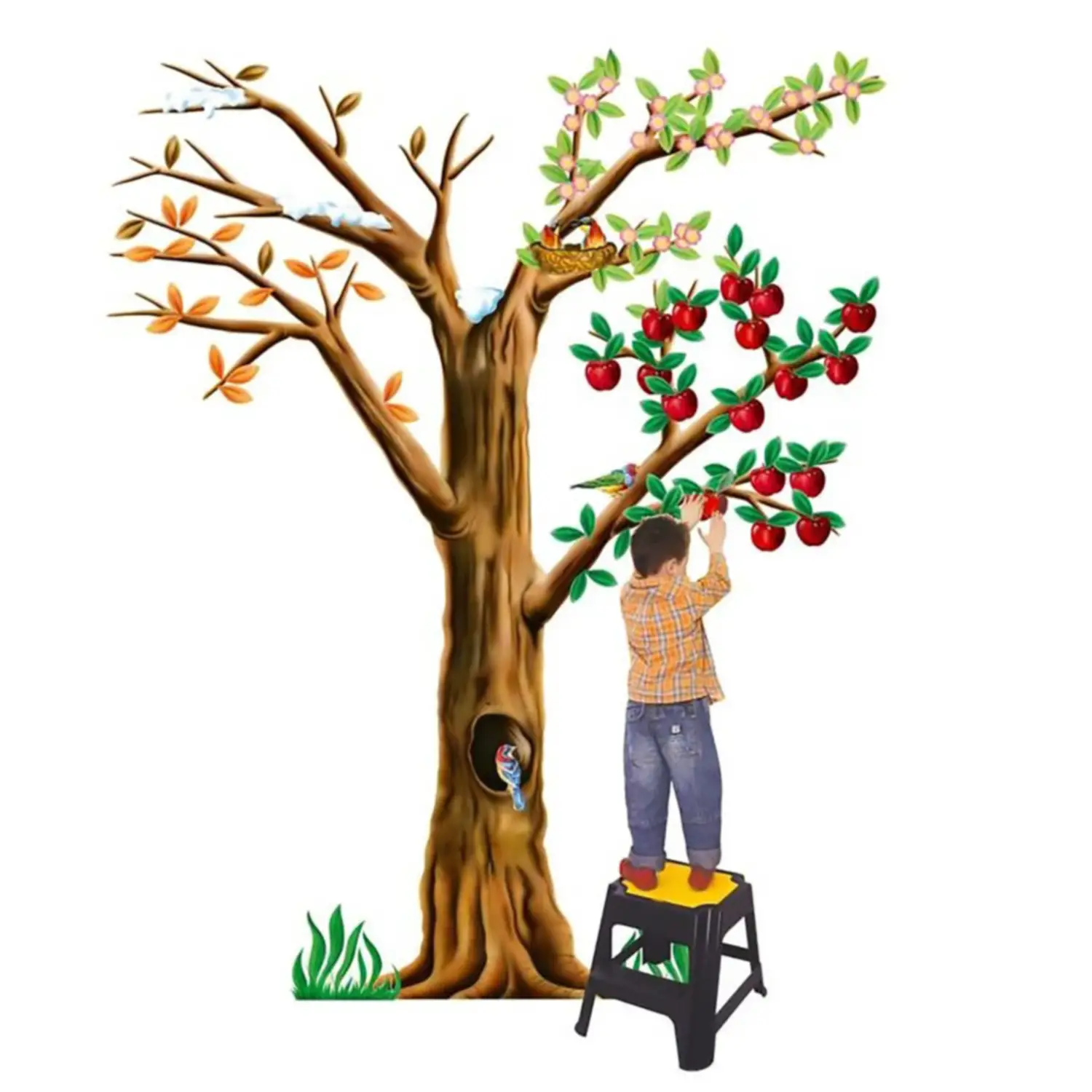 Grande Albero delle Stagioni Murale - Strumento Educativo Interattivo cm 250x250 - II tempo e le stagioni
