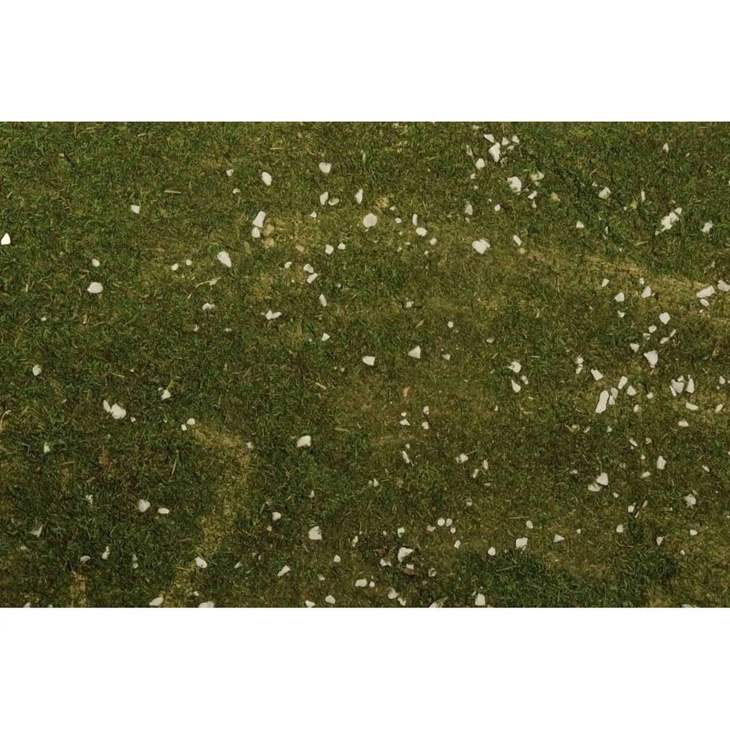Foglio Carta con Muschio Naturale 70 x 50 cm - presepi