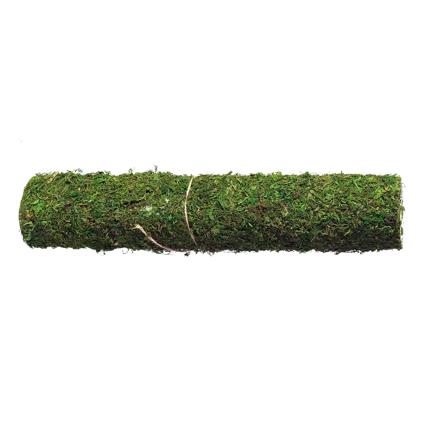 Foglio Carta Muschio Verde con Adesivo cm. 40x90 - presepi