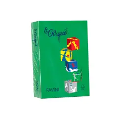 Carta per Fotocopie Le Cirque A4 80 gr – 500 Fogli - Verde