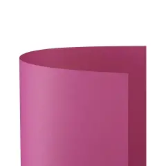 Cartoncino Bristol Liscio 200 gr - 25 Fogli 50x70 cm - Ciclamino