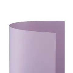 Cartoncino Bristol Liscio 200 gr - 10 Fogli 70x100 cm - Lilla