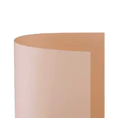 Cartoncino Bristol Liscio 200 gr - 10 Fogli 70x100 cm - Salmone