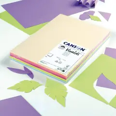 Cartoncino Vivaldi Canson Iris A4 185 g/m² - 120 Fogli Colori Pastello Assortiti