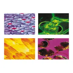 Konus Vetrini Preparati: Biologia Generale