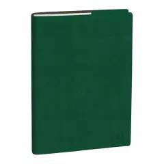 Agenda 2026 Professore - Bisettimanale, Italiano, Rub Roma Verde Inglese